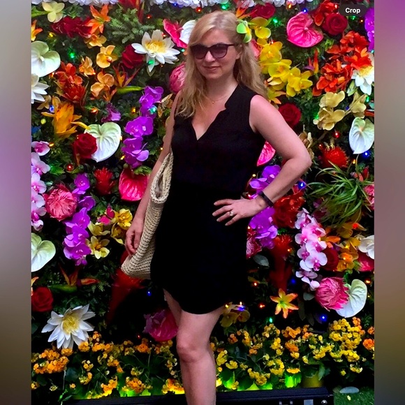 Aritzia Babaton 100% Silk XXS Benedict  Dress - Picture 2 of 7